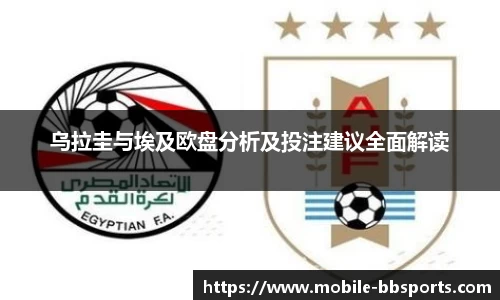 乌拉圭与埃及欧盘分析及投注建议全面解读
